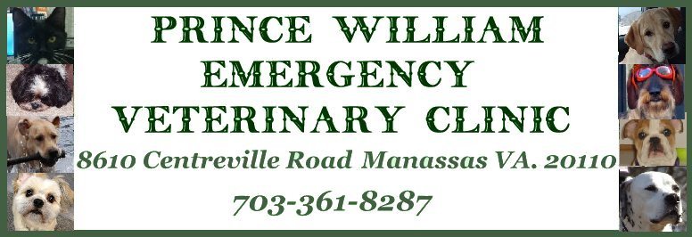 Old Bridge Veterinary Hospital - After Hours Emergency Veterinary Clinic Old Bridge Veterinary Hospital - After Hours Emergency Veterinary Clinic