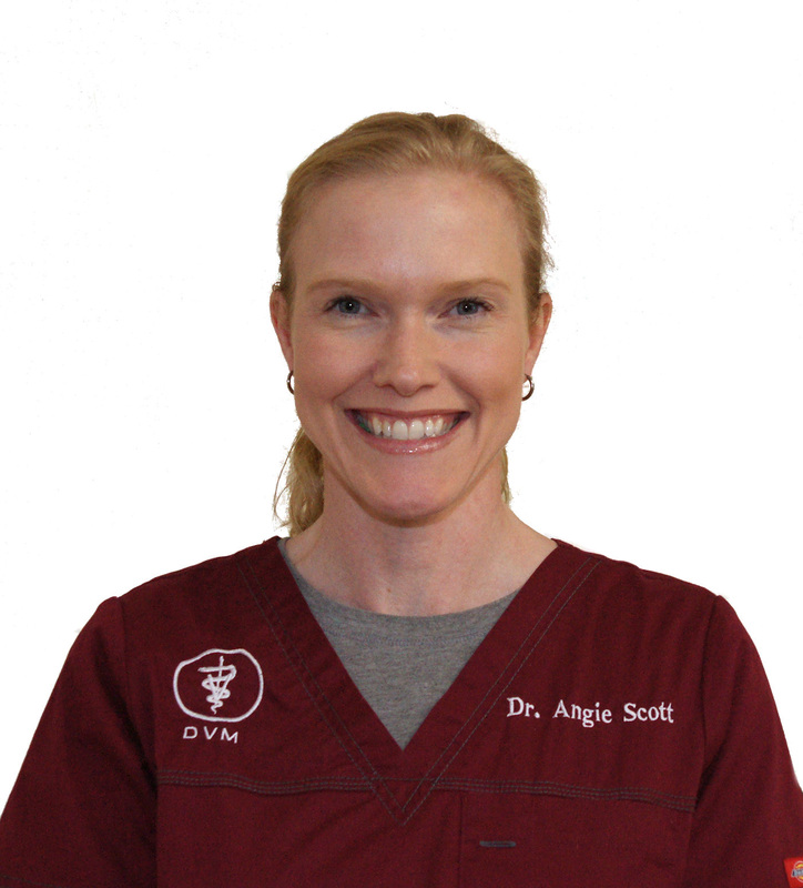 Dr. Scott Dr. Scott