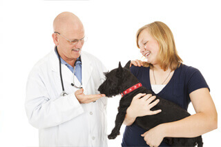 vet holding dog