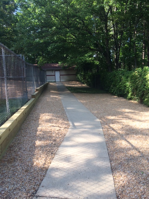 Outdoor area