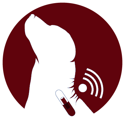 Permanent Identification
