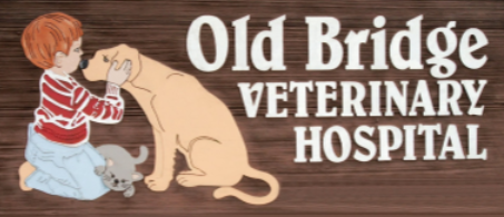 Old Bridge Logo